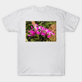 Purple orchid T-Shirt